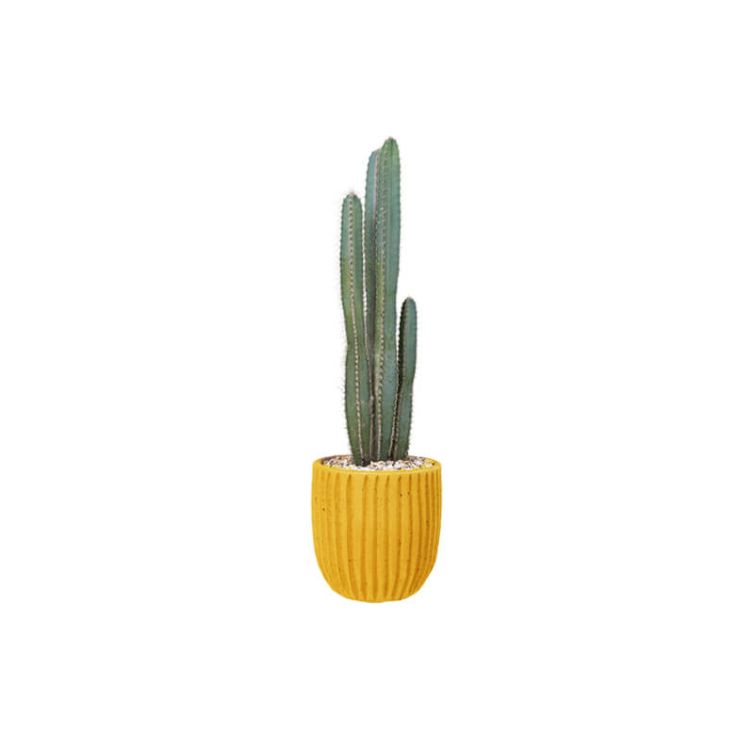 product-page-3_2 (Demo)